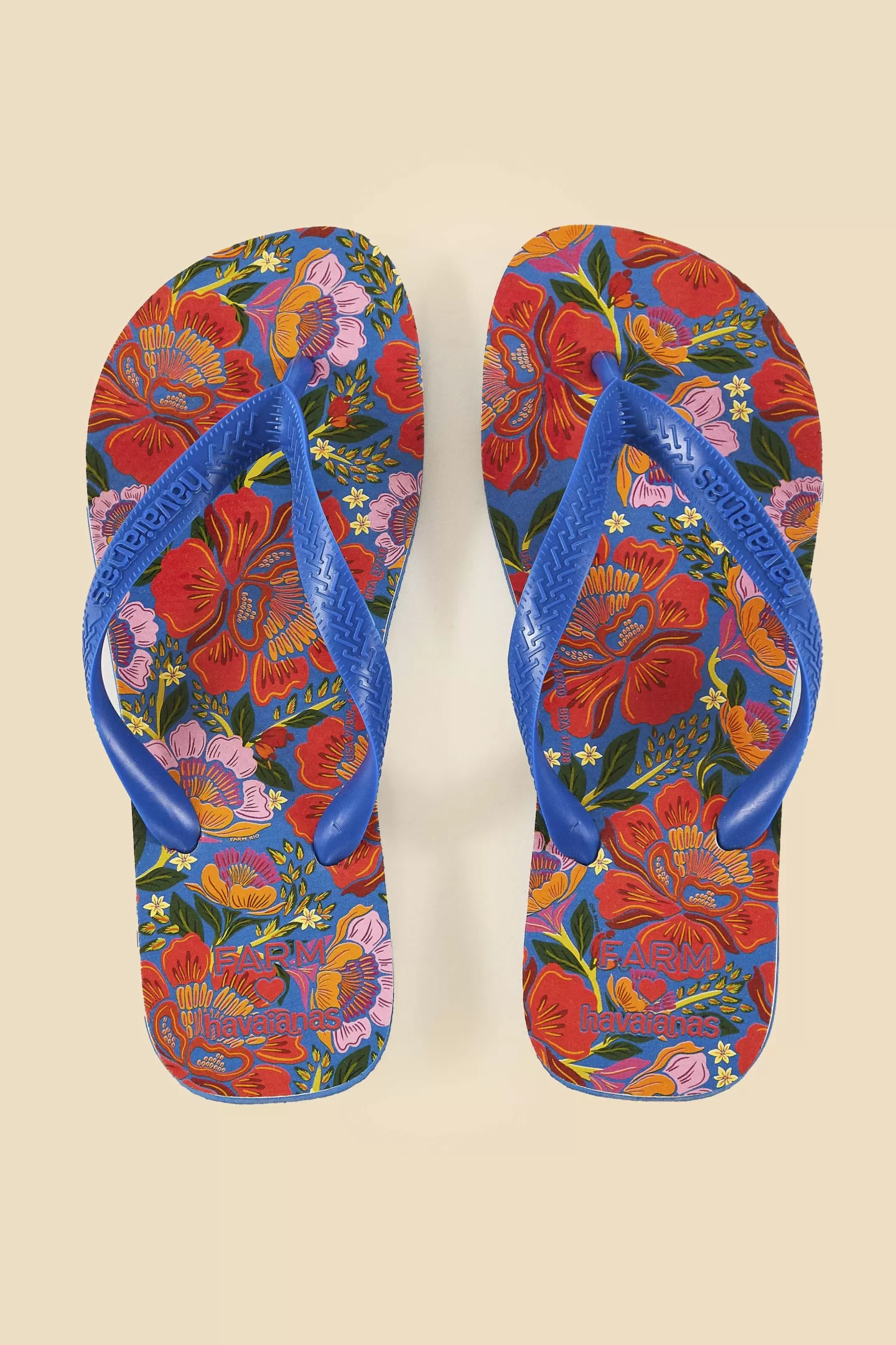 FARM Rio  BLUE FLOWERS GARDEN HAVAIANAS SANDALS