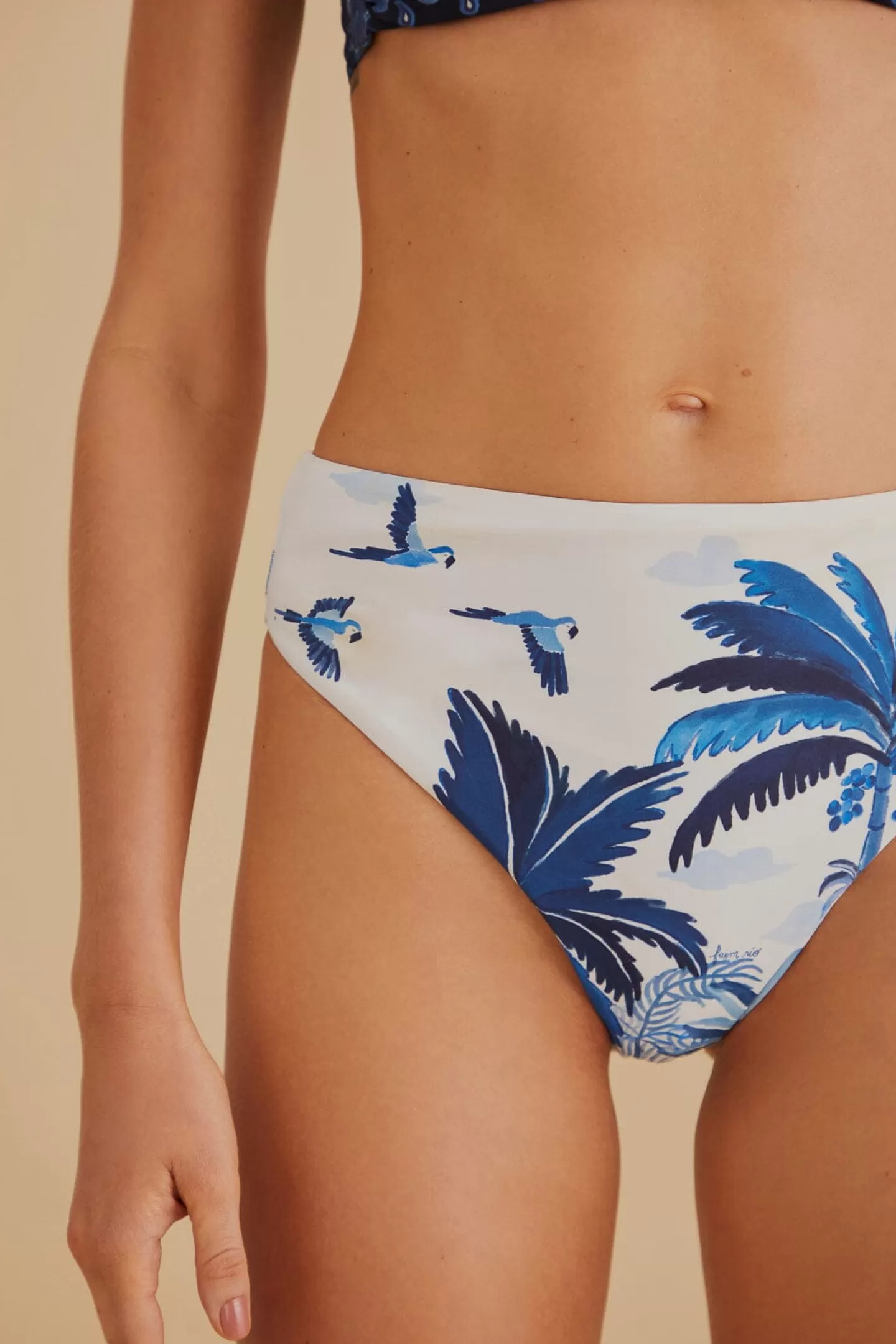 FARM Rio  DREAM SKY HIGH WAISTED BIKINI BOTTOM